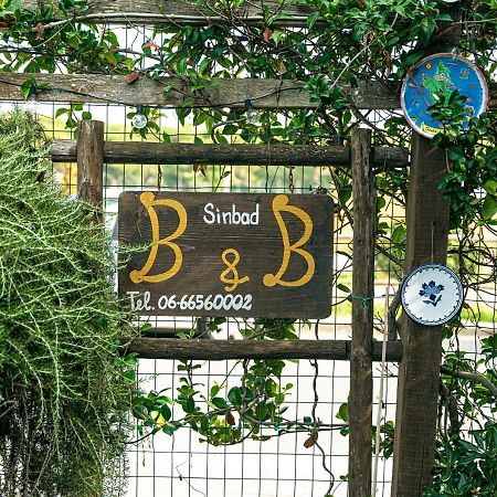 B&B Sinbad La Scialuppa Fregenae Exterior foto